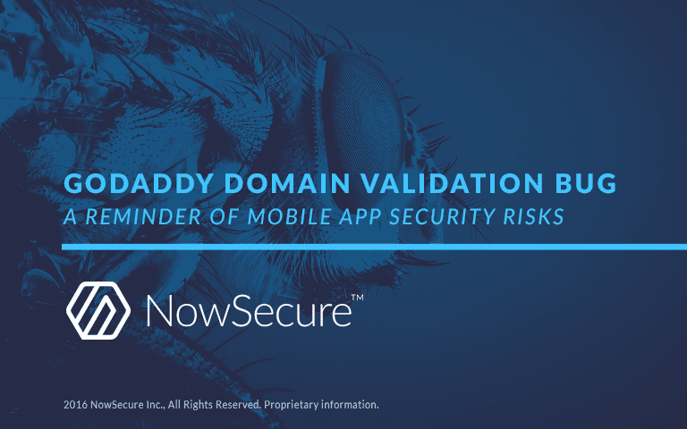 GoDaddy domain validation bug a reminder of mobile app security risks