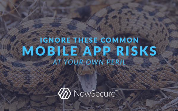Ignore common mobile app security risks at your own peril