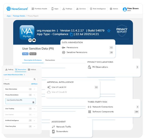 Automated Privacy Testing Workflows