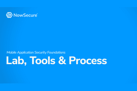 Common Mobile App Penetration Testing Tools and Process