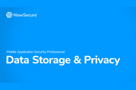 Mobile Application Data Privacy Essentials